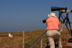 Arbeitsfoto_Helgoland_01