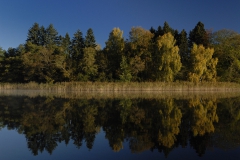 Feldberger_Seen_See_01