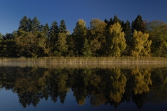 Feldberger_Seen_See_01