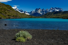 Patagonien_Lago_Toro_01