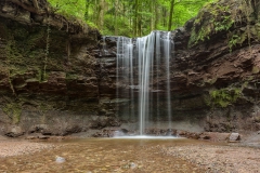 Schwaebischer_Wald_00001