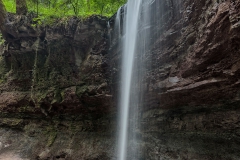 Schwaebischer_Wald_00002