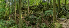 Schwaebischer_Wald_00003