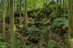 Schwaebischer_Wald_00003